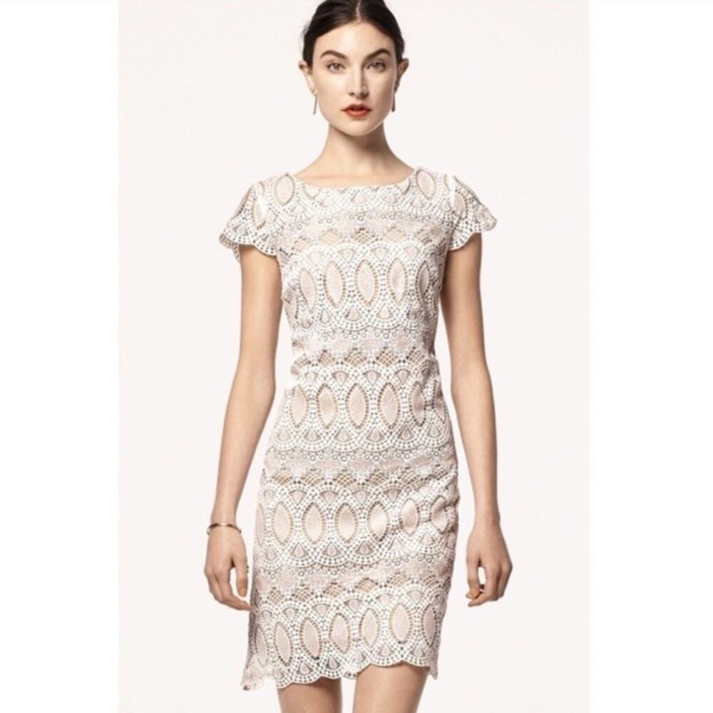 Eliza J White Lace Shift Dress Cap Sleeve Wedding Bridal Crochet US 6 $158